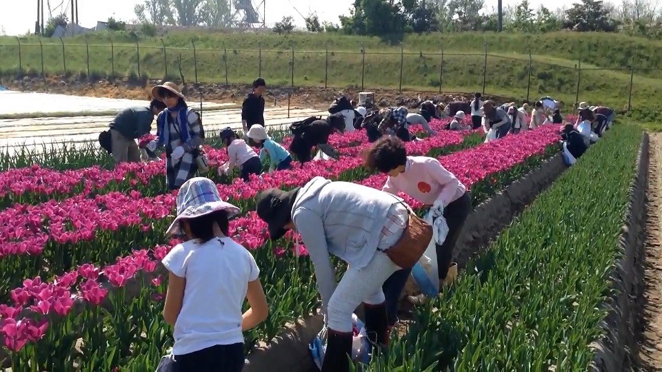 専門学校の動画一覧 実習動画 日本の学校 1 2