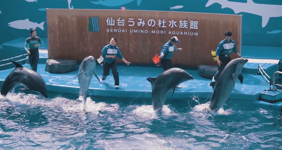 仙台ＥＣＯ動物海洋専門学校の紹介動画