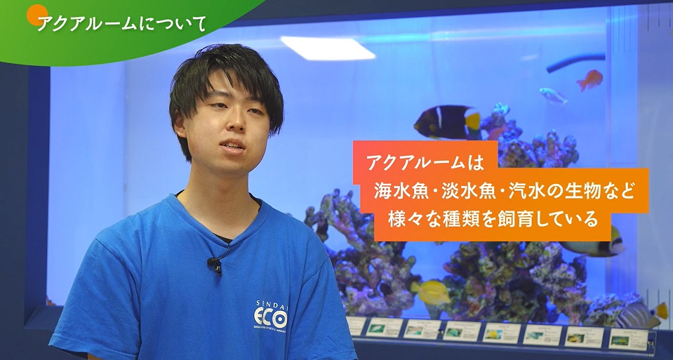 【水族館・アクアリスト】専攻紹介