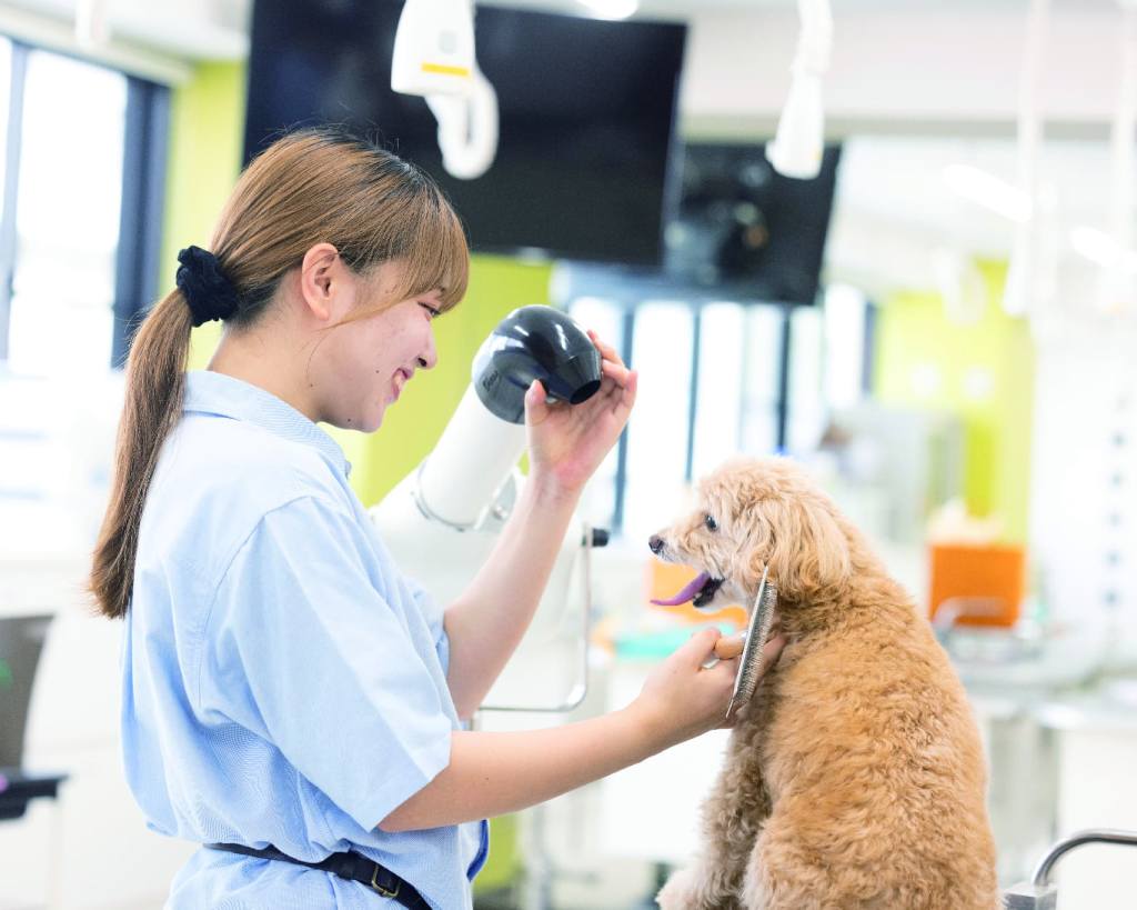大阪ＥＣＯ動物海洋専門学校のcampusgallery