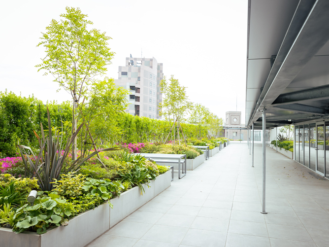 立正大学のcampusgallery