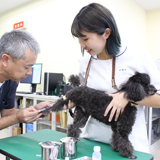愛玩動物看護学科