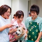 愛玩動物看護学科