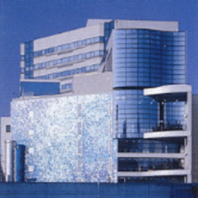 作業療法学科