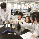 薬学部