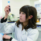 薬学部
