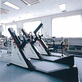体育学部