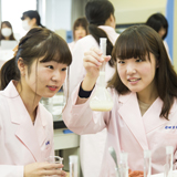 家政学部