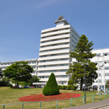 国際文化学部