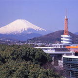 文化社会学部