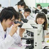 医学部