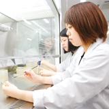 環境情報学部