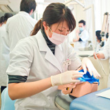 歯学科
