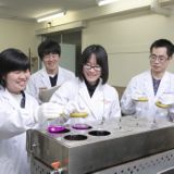環境分析学科