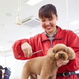 トリミング学科