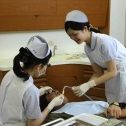 歯科衛生士科