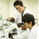 薬学部