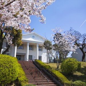 総合社会学部