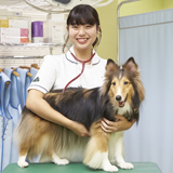 動物看護・栄養学科