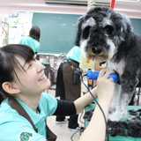 美容・デザイン学科