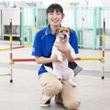 ドッグスペシャリスト学科