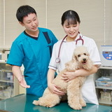 愛玩動物看護学科