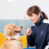 動物共生研究科