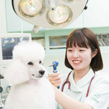 動物看護科