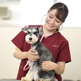 愛玩動物看護師学科