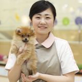 トリマー学科