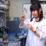 健康薬学科