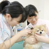 動物看護学科