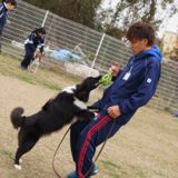 ドッグトレーナーコース