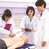 薬学部