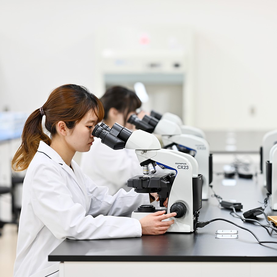 医療科学部