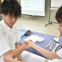 柔道整復学科