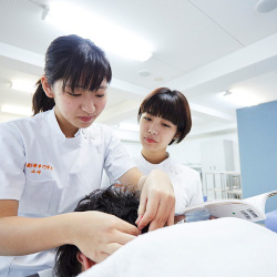 鍼灸学科