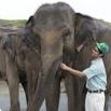 動物園・動物飼育専攻