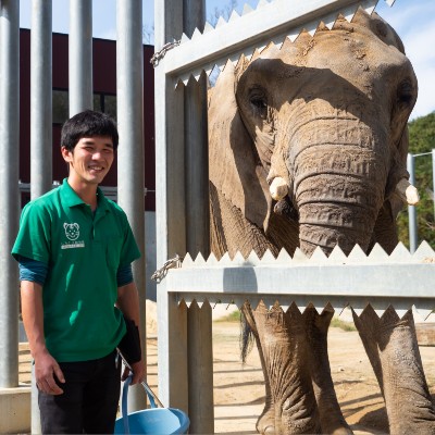 大阪ｅｃｏ動物海洋専門学校 学科 コース詳細 動物園 動物飼育専攻 学校案内や願書など資料請求 Js日本の学校