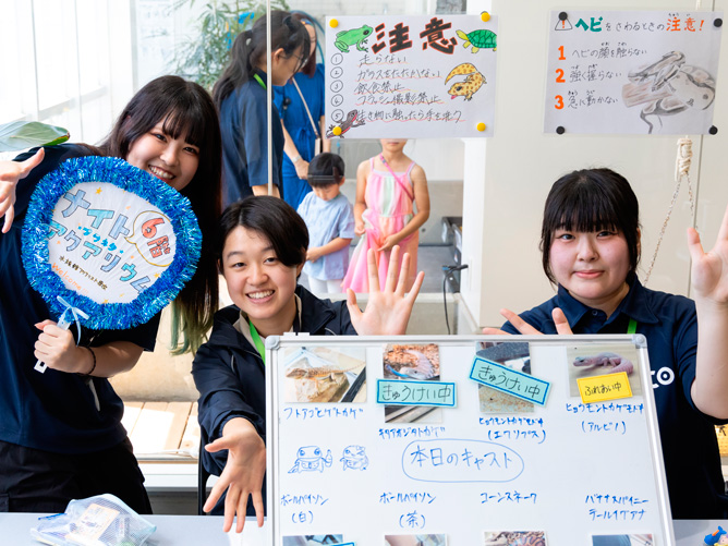 様々な生き物とふれあうことができます。