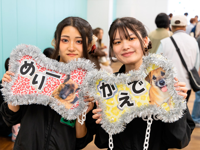 犬のふれあいもできます。