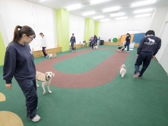 仙台ｅｃｏ動物海洋専門学校の施設 設備 学生寮の情報 日本の学校