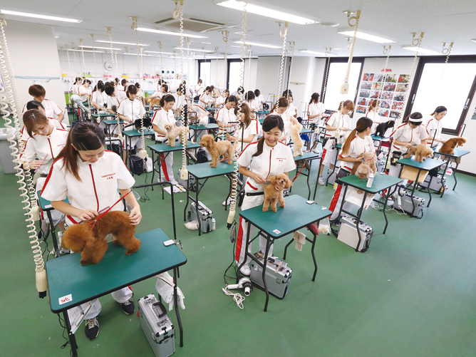 専門学校日本動物２１のオープンキャンパス