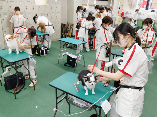 大阪動物専門学校天王寺校のオープンキャンパス