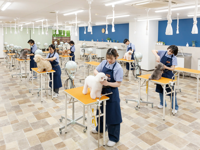 名古屋ＥＣＯ動物海洋専門学校の施設・設備