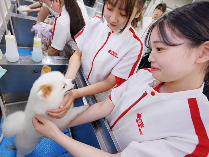 大阪動物専門学校のオープンキャンパス