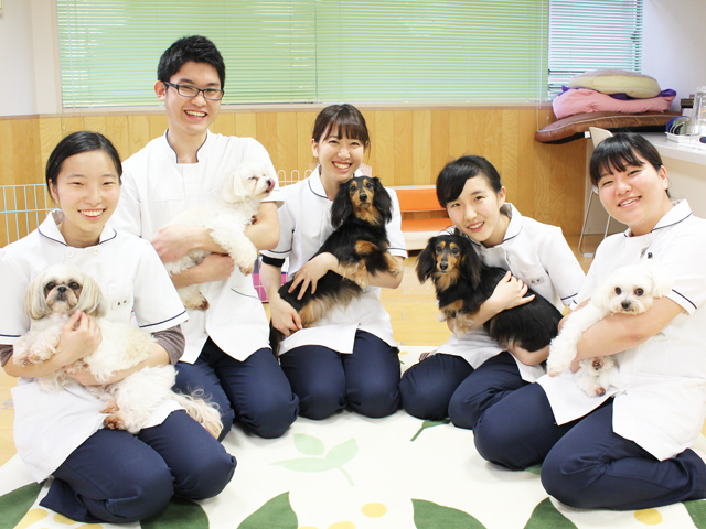 学生たちは日々の学校犬たちの飼育健康管理も行います！入院動物管理など就職後に役立つこともたくさん！