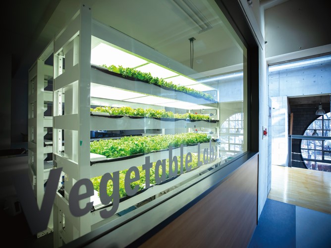 【Vegetable Lab】LEDライトを完備した最新の野菜栽培システムが設置されており、一年を通して野菜の育成・収穫ができます。