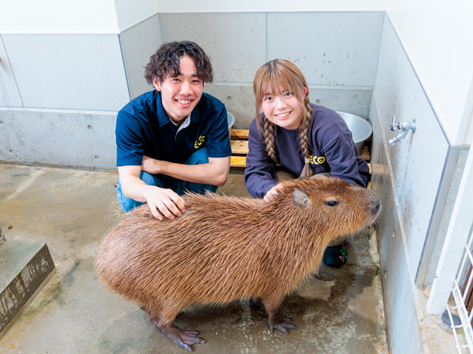 飼育実習室：小動物や鳥類を中心に、たくさんの動物の飼育・管理を行っています。