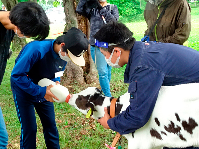 ふれあい牧場親子体験学習1